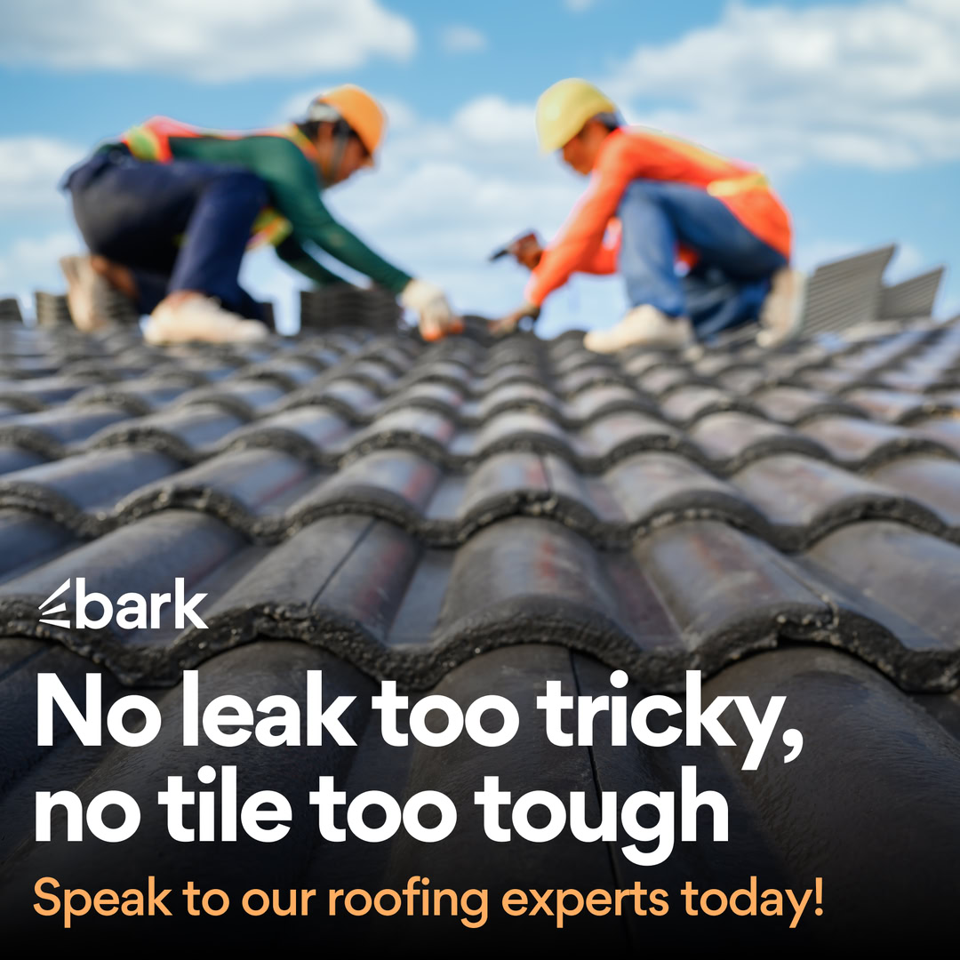 Bark.com Facebook ad