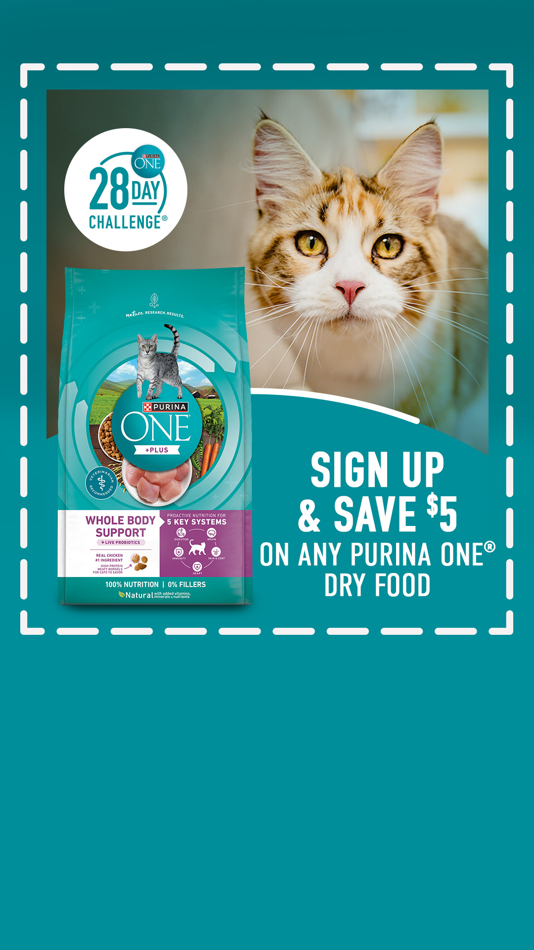 Purina ONE Facebook ad from Jun 8, 2026