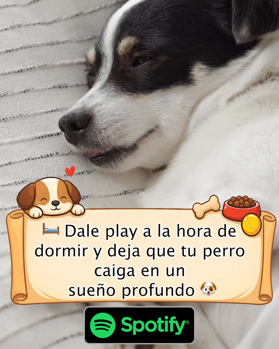 Calm My Pet Facebook ad: La mejor lista de reproducción para perros