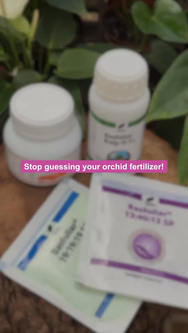 Orchid Tree Facebook ad: Unlock Explosive Orchid Blooms