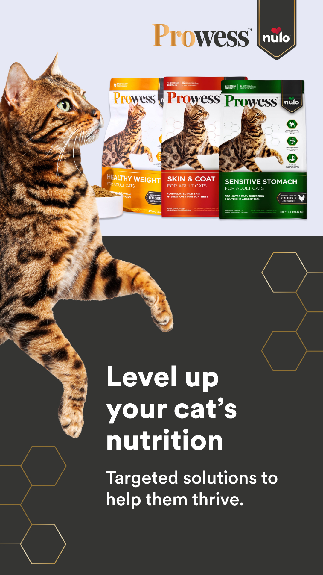 Petco Facebook ad