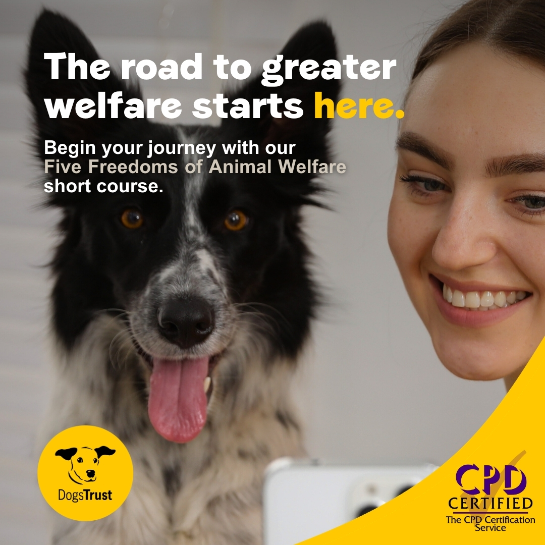 Dogs Trust Ireland Facebook ad: Sign up now and get €5 off >>