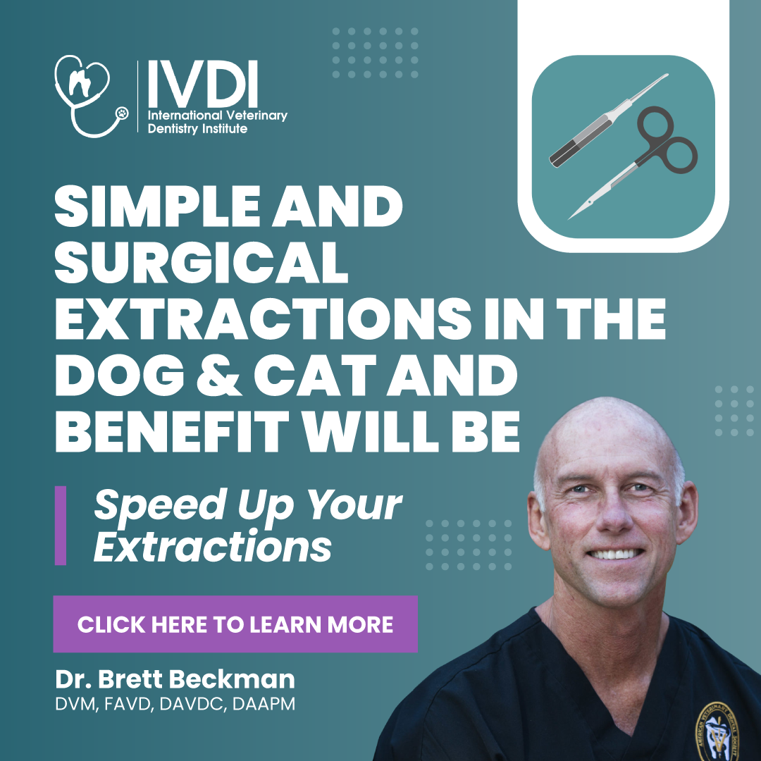 Veterinary Dentistry Live Facebook ad: Attention Veterinarians! Ready to improve your confidence…