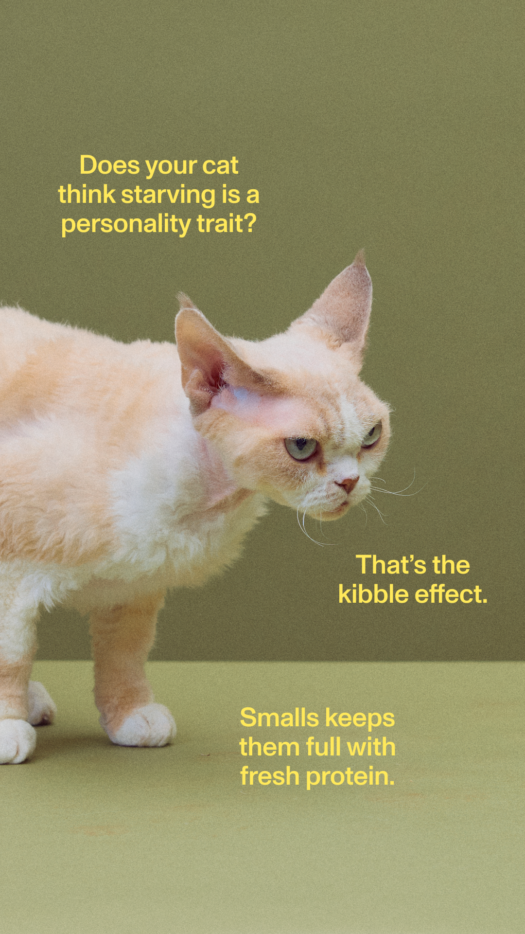 Smalls Facebook ad