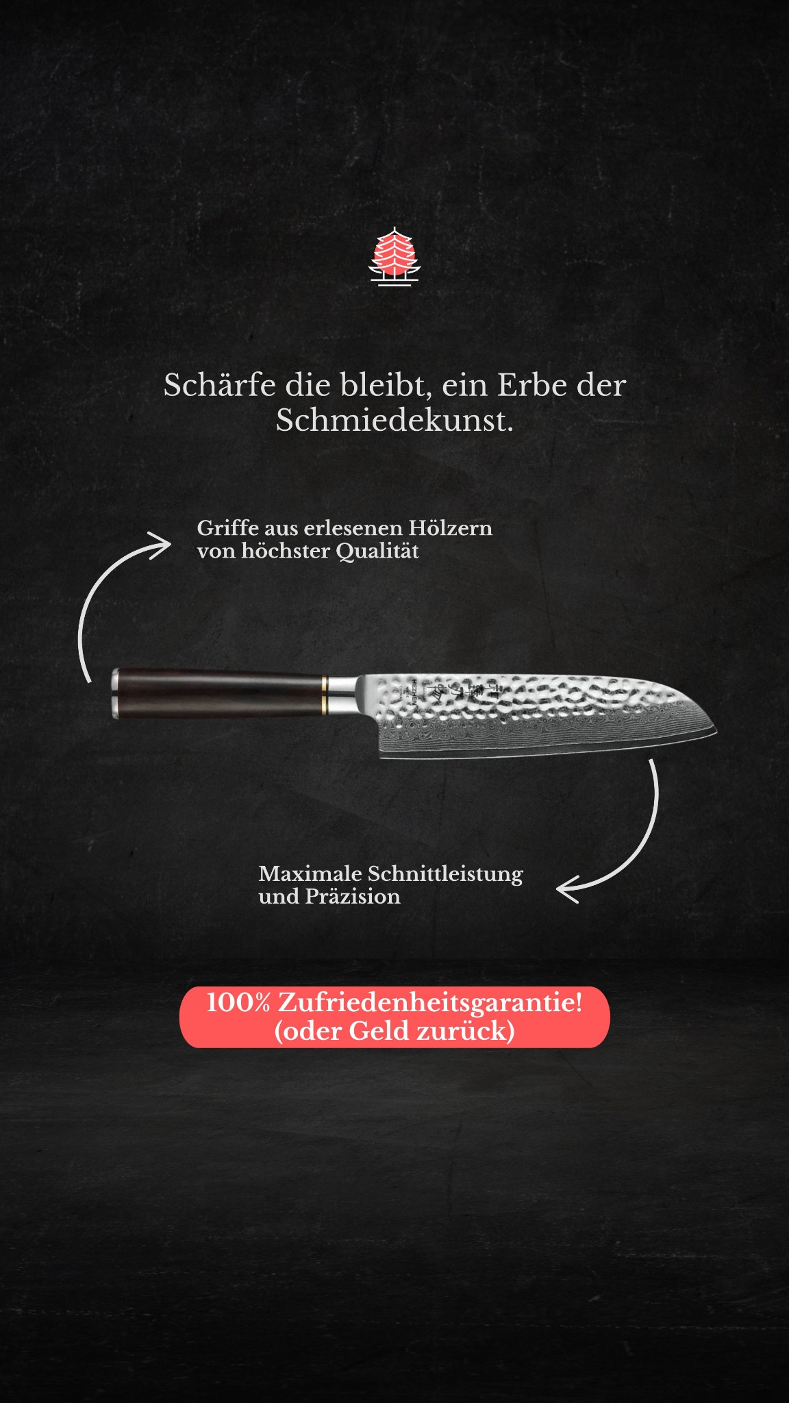 Hocho.ch Facebook ad
