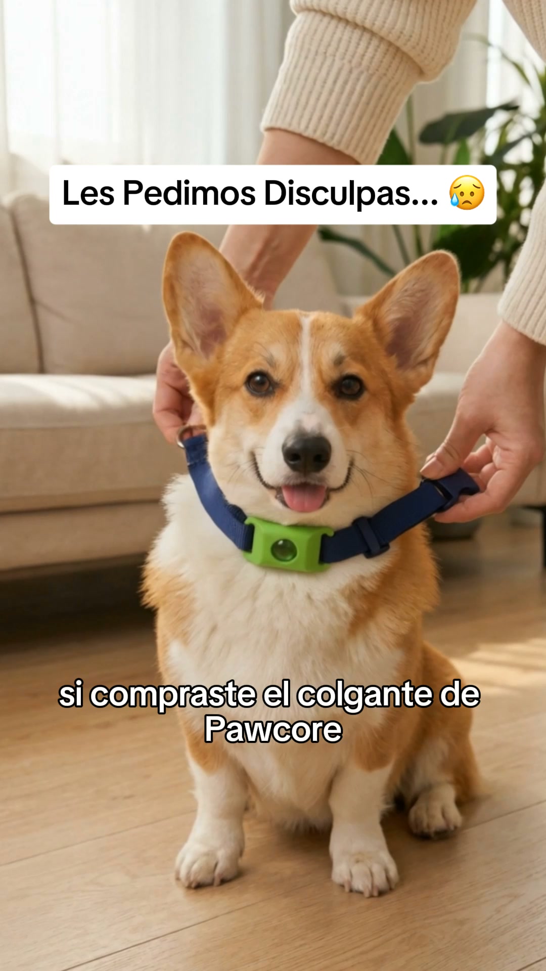 Paw Core Facebook ad: Dale a tu perro una vida sin pulgas ni garrapatas