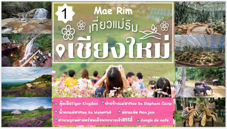 รถเช่าพร้อมคนขับ บริการนำเที่ยวเชียงใหม่ chiang mai Facebook ad: ว้าว โปรแกรมเที่ยว เชียงใหม่-เชียงราย-และต่างจังหวัดใกล้เคี…