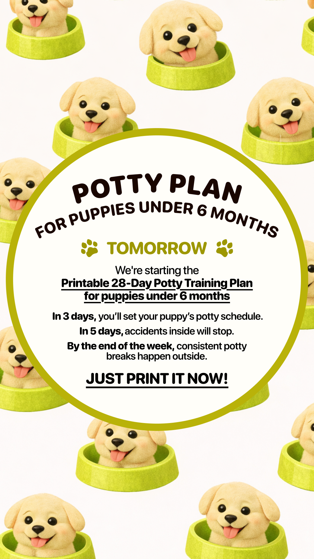 Woofz - Puppy Training Facebook ad