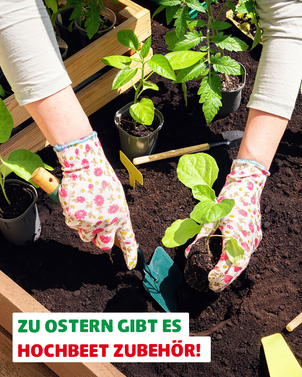 hagebau Hallertau Facebook ad: Ostern steht vor der Tür, und mit den…
