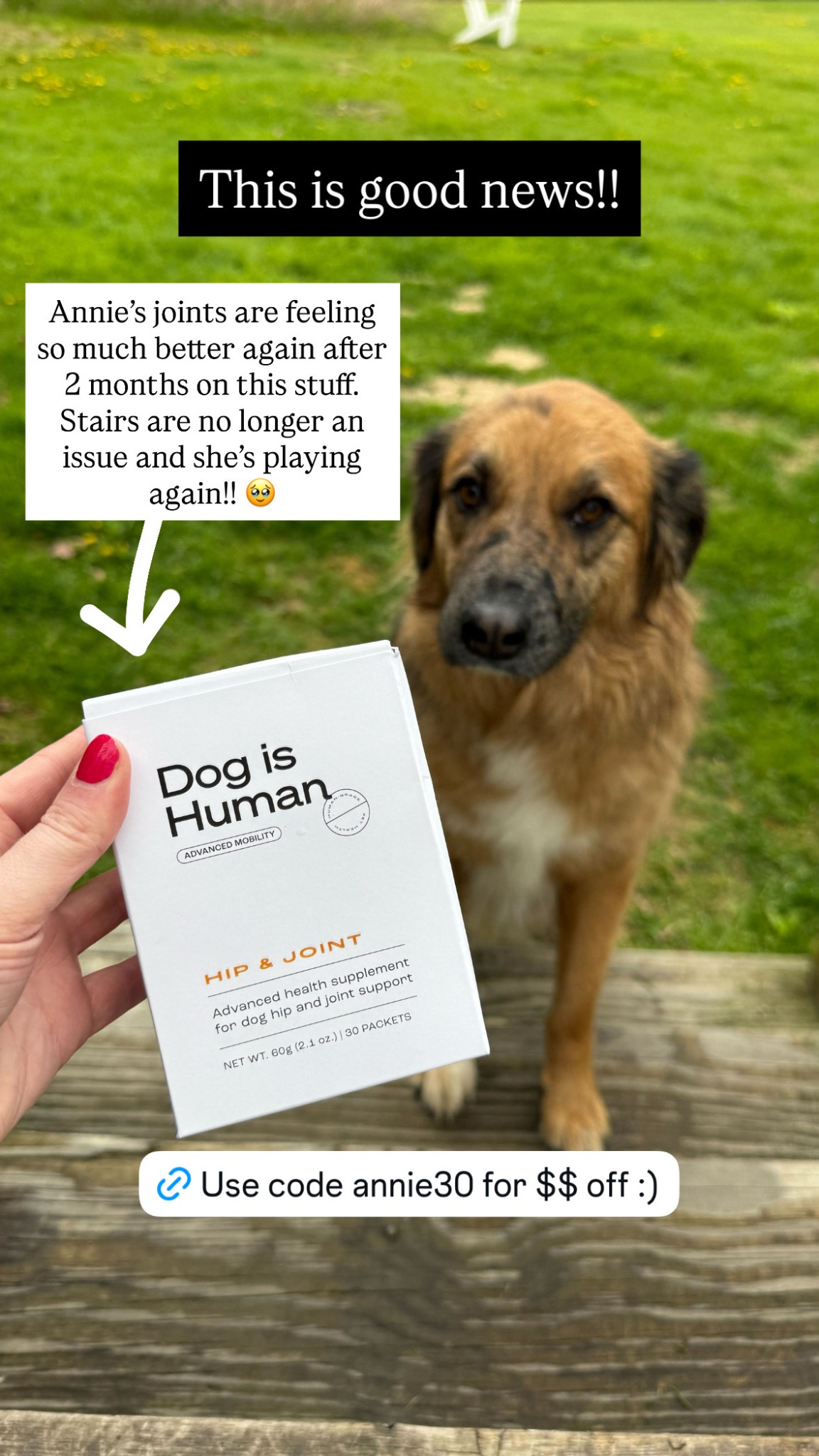 Dog is Human Facebook ad