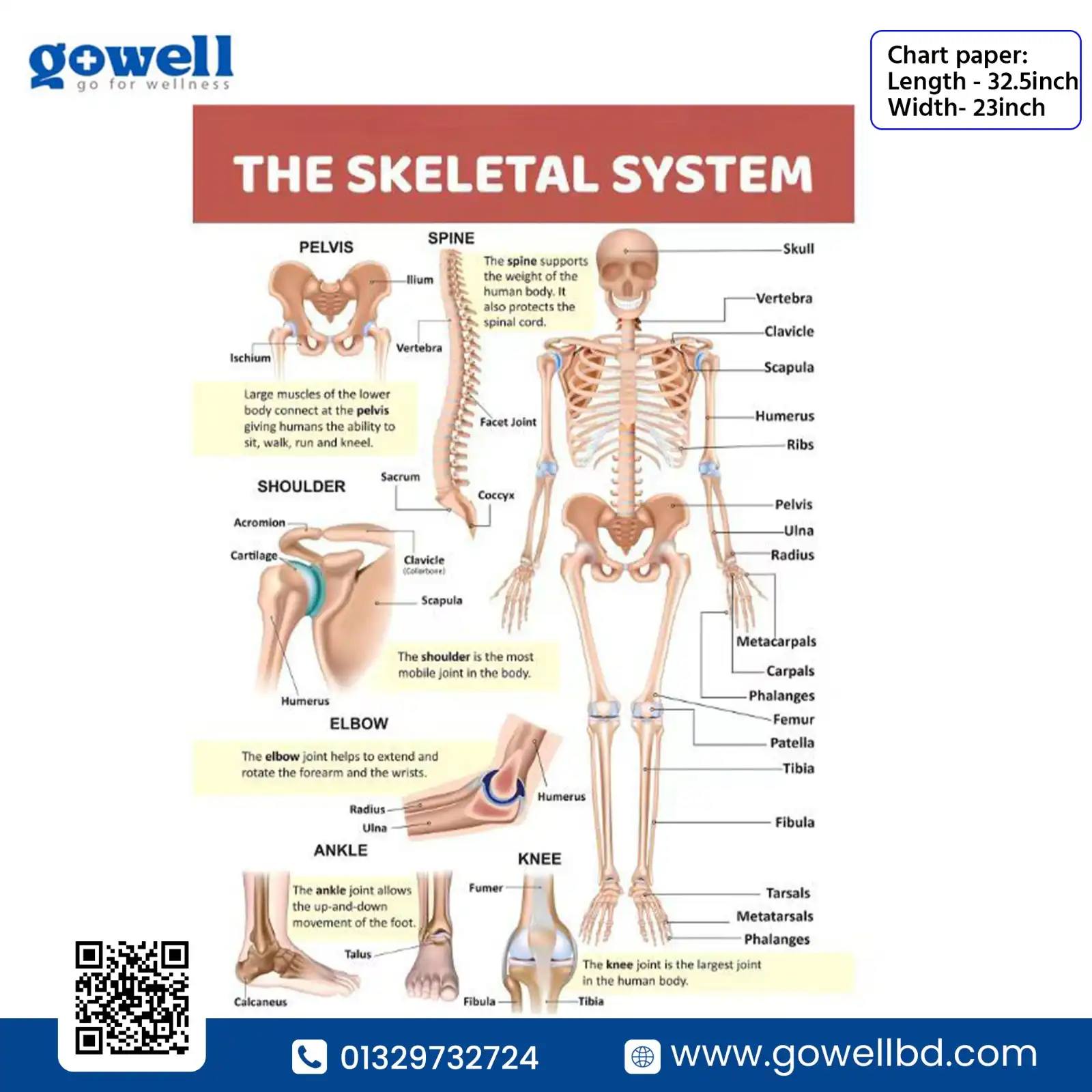 Go Well Facebook ad: Discover Gowell's Complete Range of Health Essentials!
