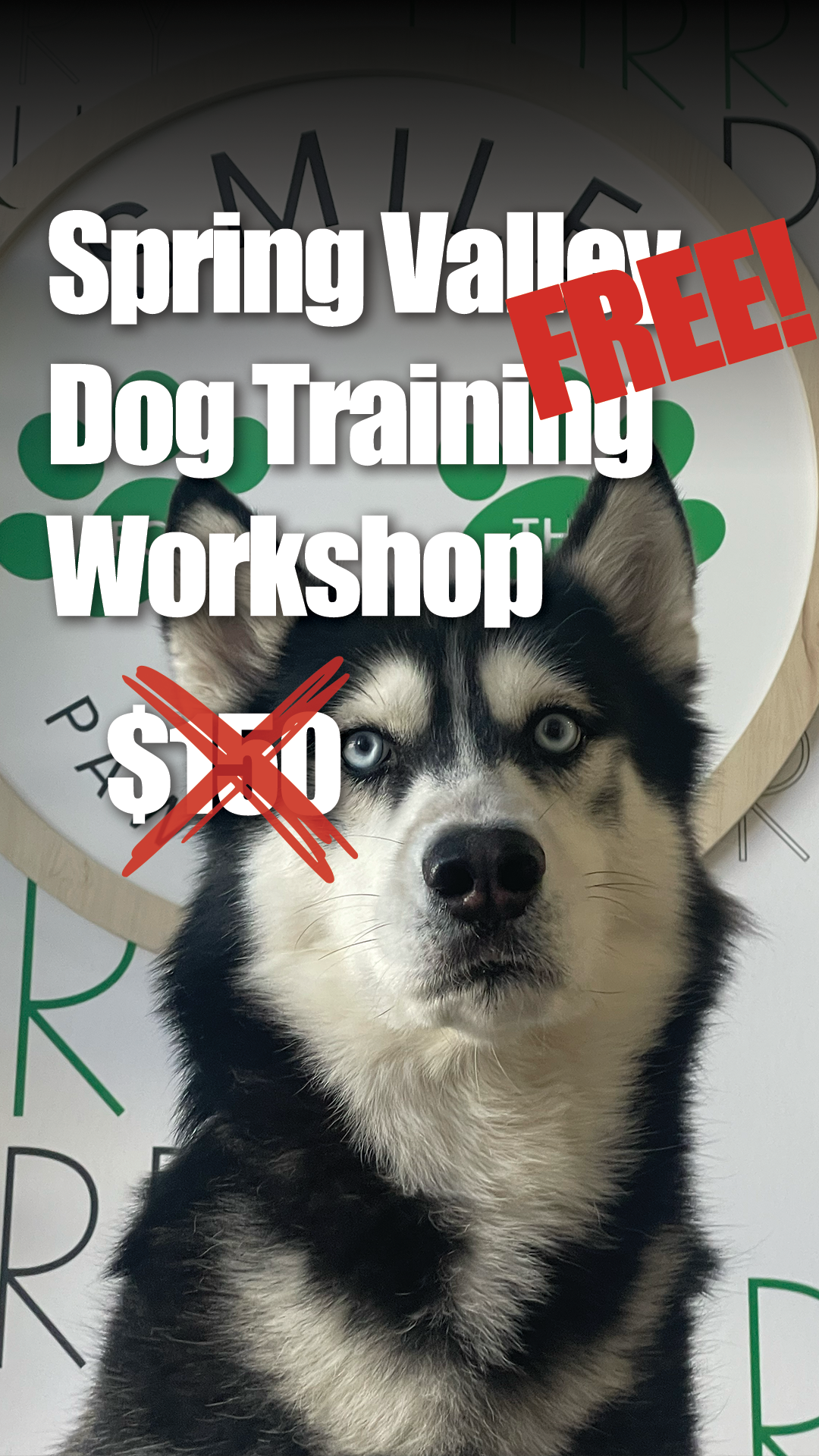 Furry Pet Resort Facebook ad