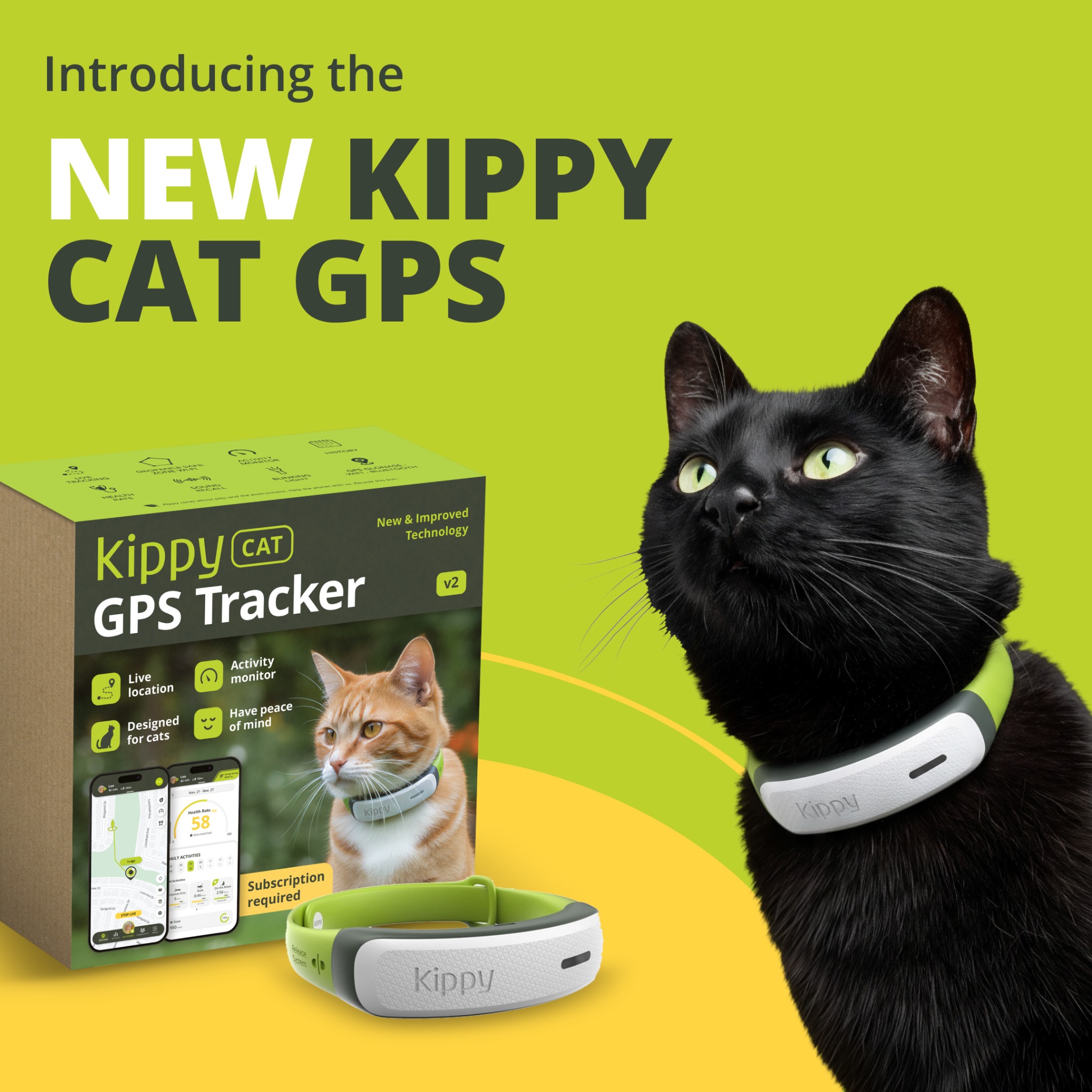 Kippy Facebook ad