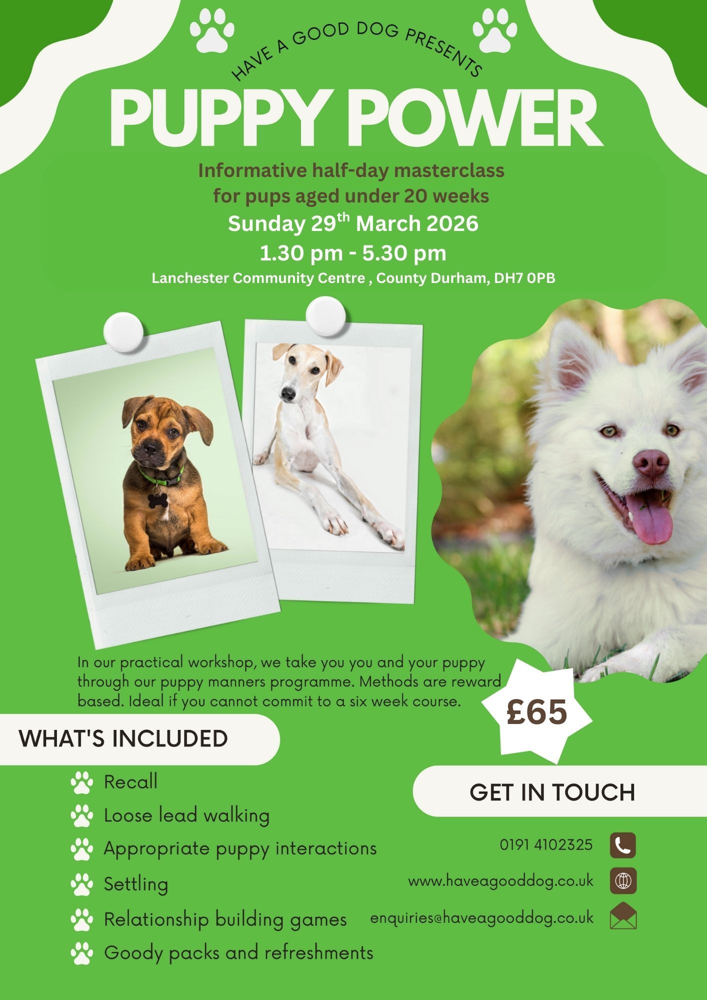 Have a Good Dog Facebook ad: We are offering limited places on this one…