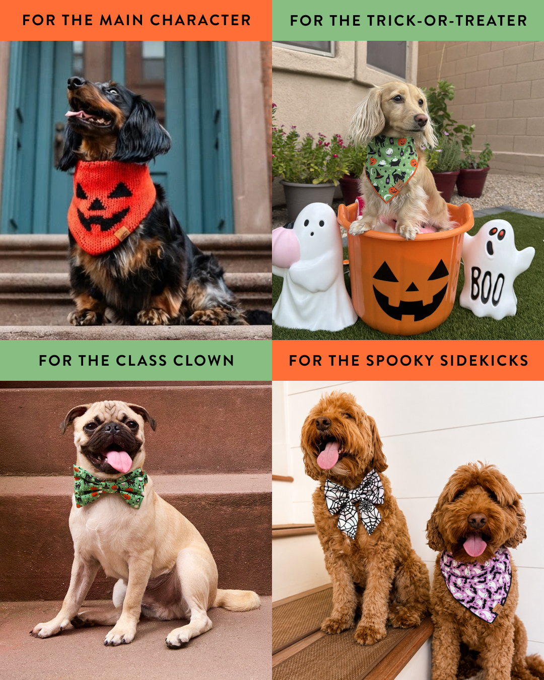 The Foggy Dog Facebook ad