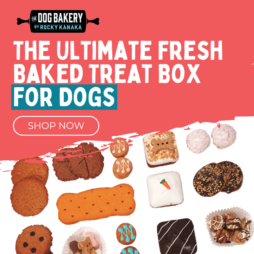The Dog Bakery Facebook ad