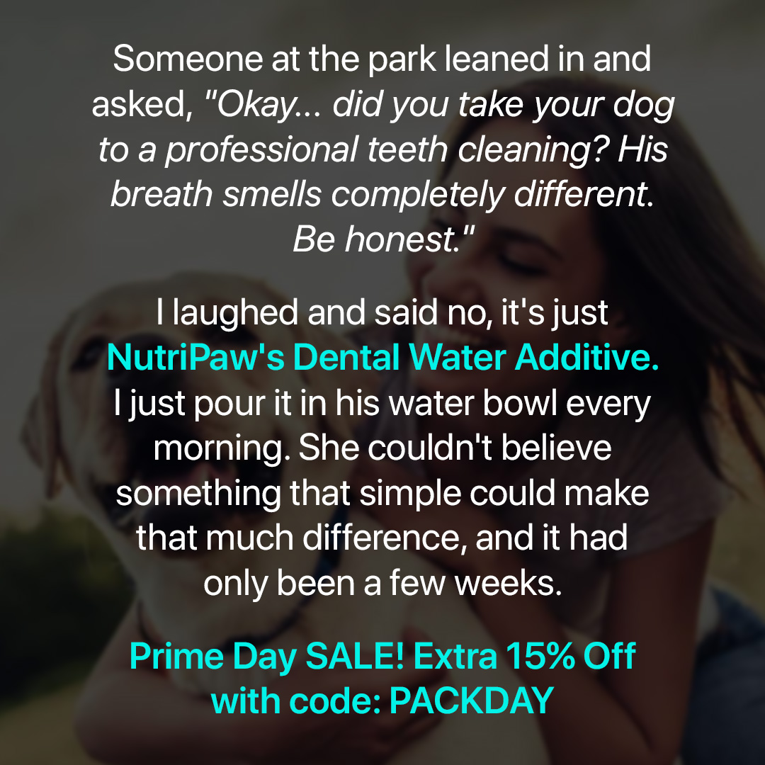 Healthy Dog 24/7 Facebook ad