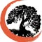 The Bimer Bonsai Club