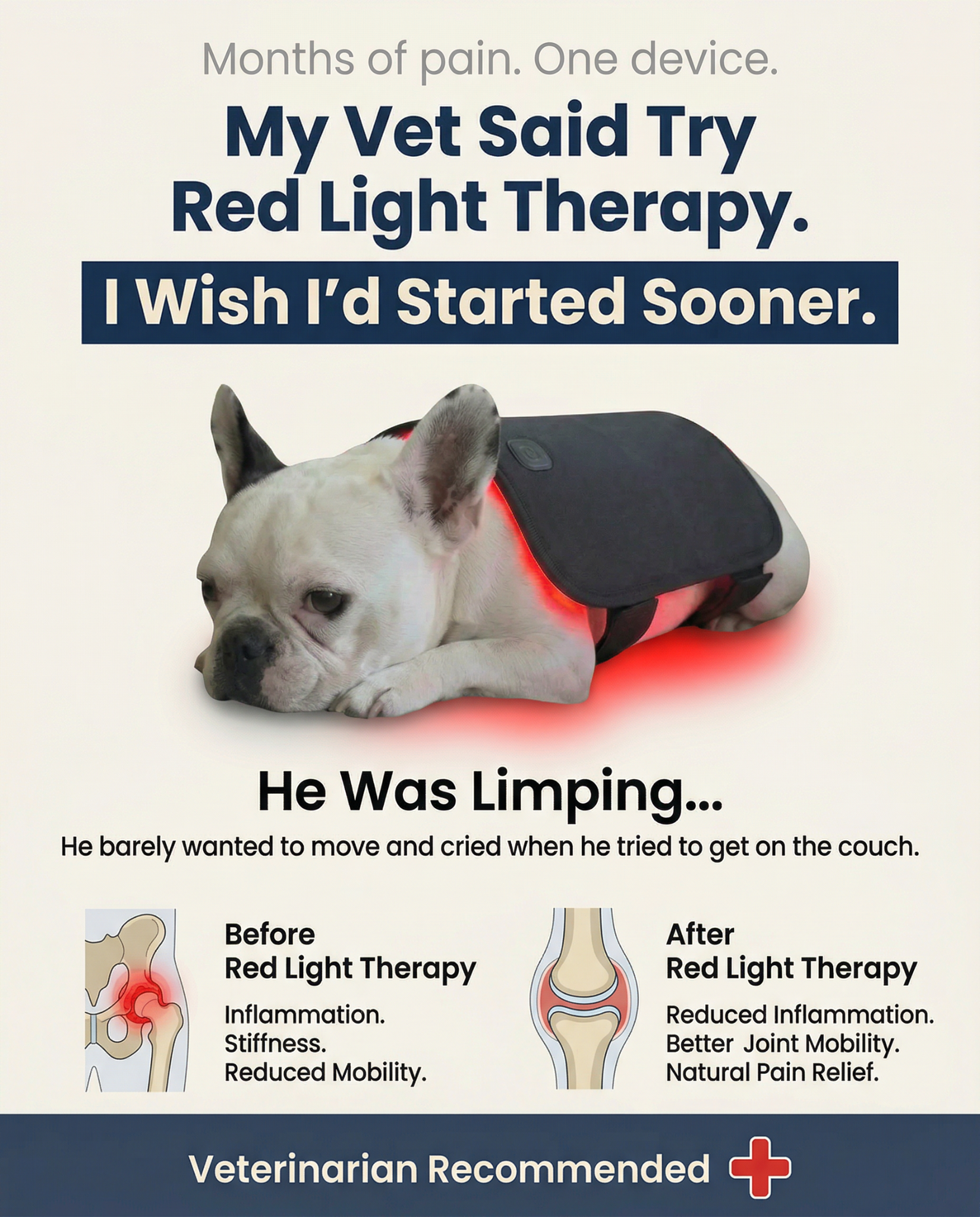 RedVet Facebook ad: Sale Ends Today