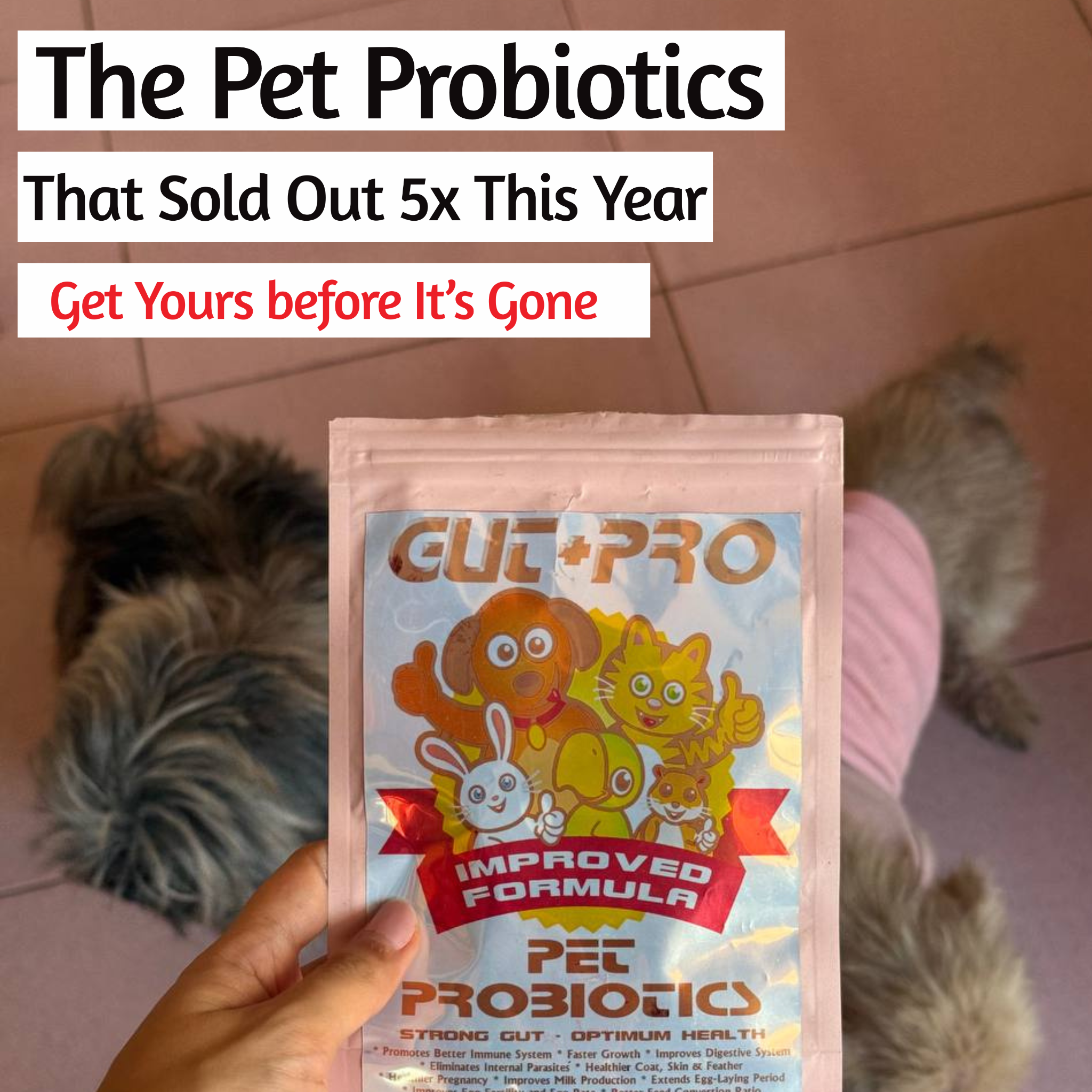 Authentic Gut Pro Pet Probiotics Facebook ad: Pinag-aagawan ng mga Furparents!