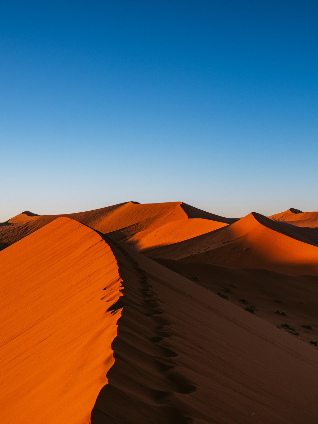 Exotik Journeys Facebook ad: Discover the raw beauty of Namibia.