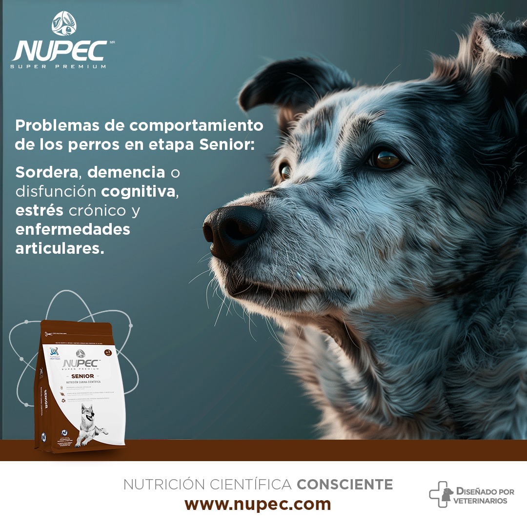 NUPEC México Facebook ad: Los perros en etapa Senior pueden presentar algunos…