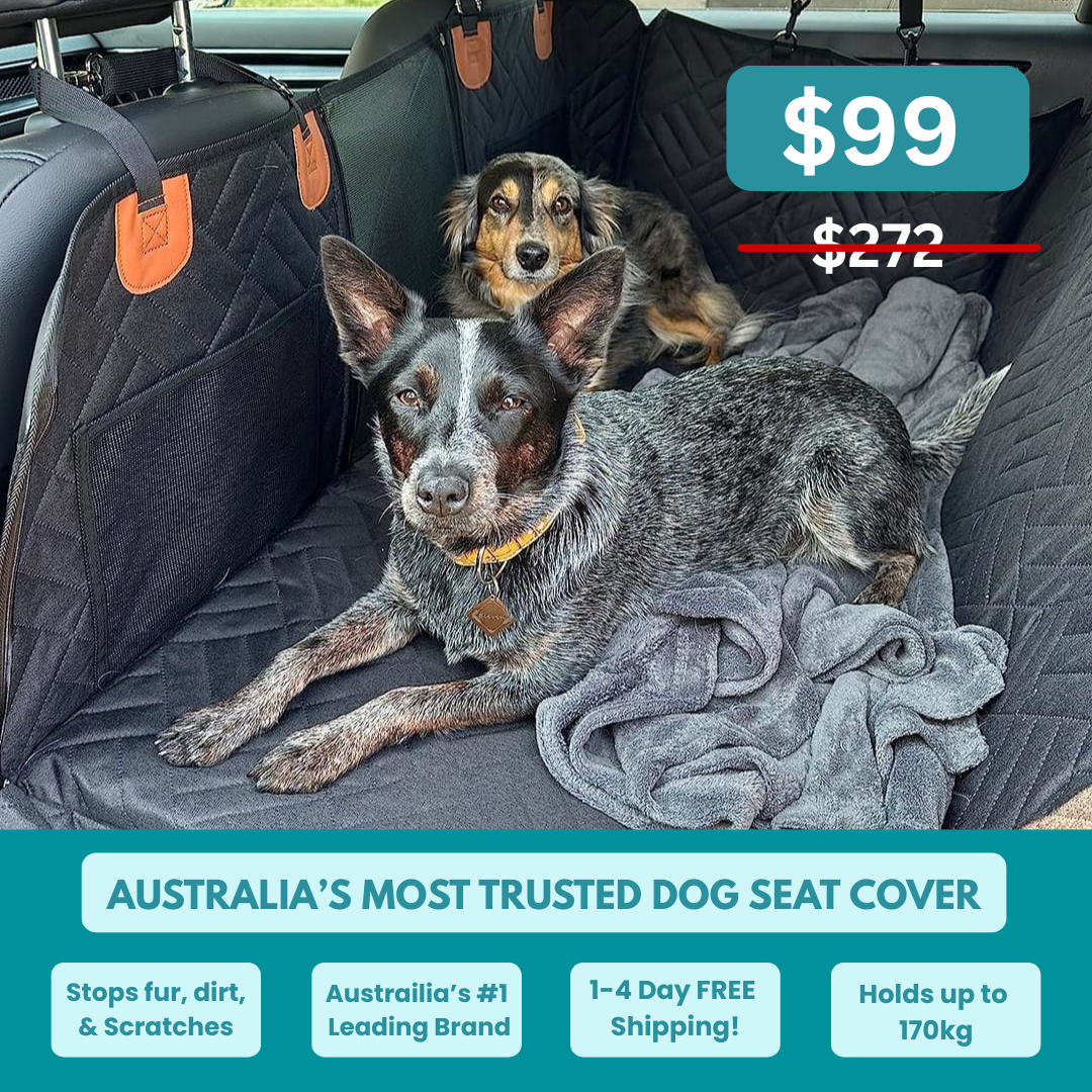 MrBarks.Shop Facebook ad