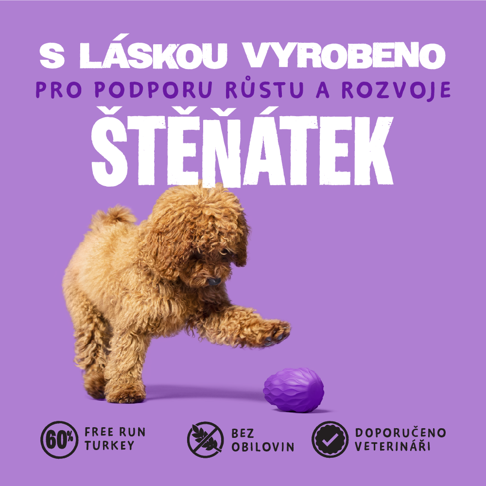 Barking a Meowing Heads CZ Facebook ad