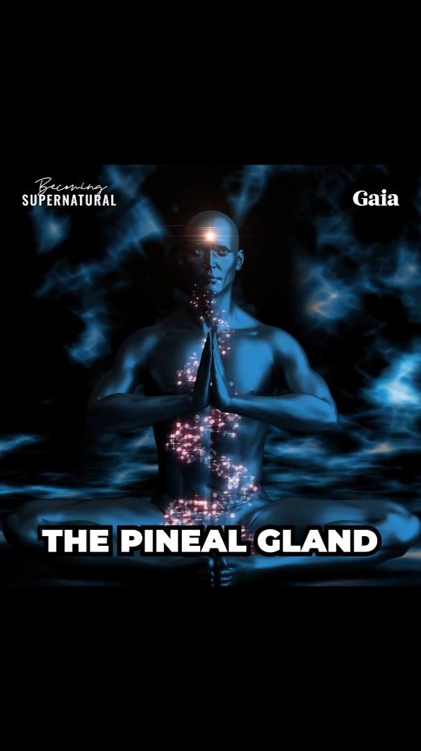 Gaia Facebook ad: Exclusive Bonuses