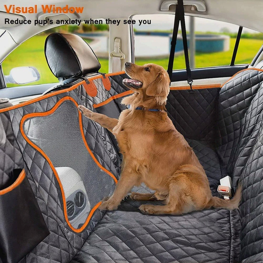 All 4 Pets Facebook ad: FUNDA CON REJILLA EN FORMA DE HUESO PROTECTORA…
