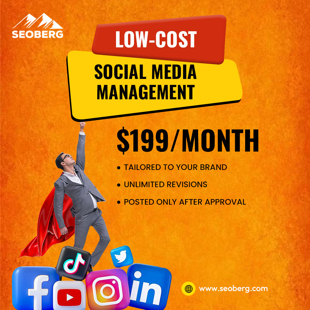 SeoBerg Facebook ad: Social Media From $199/Mo
