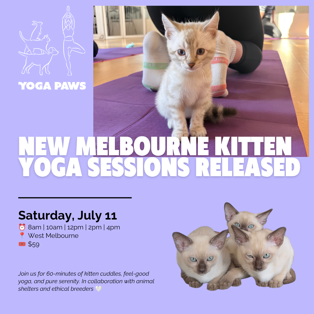 Yoga Paws Facebook ad