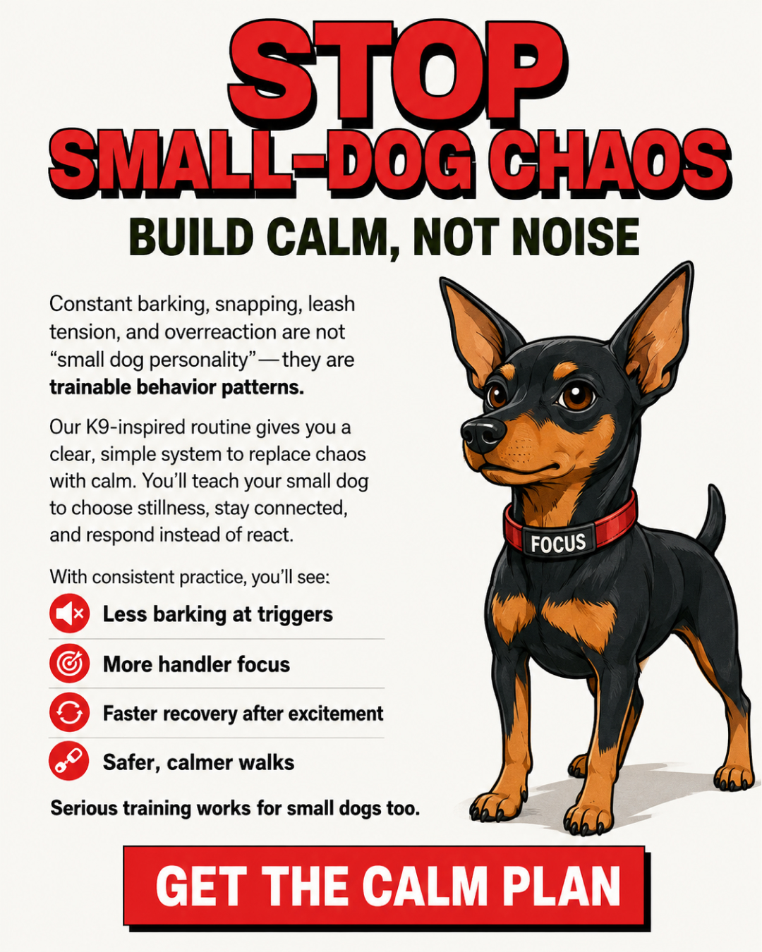 1st Dog Training Club Facebook ad