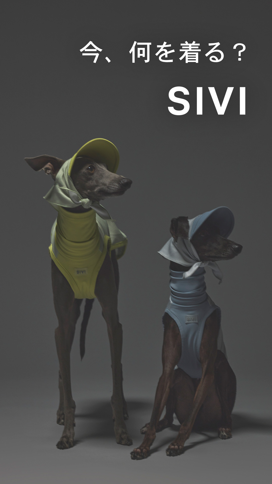 SIVI Facebook ad