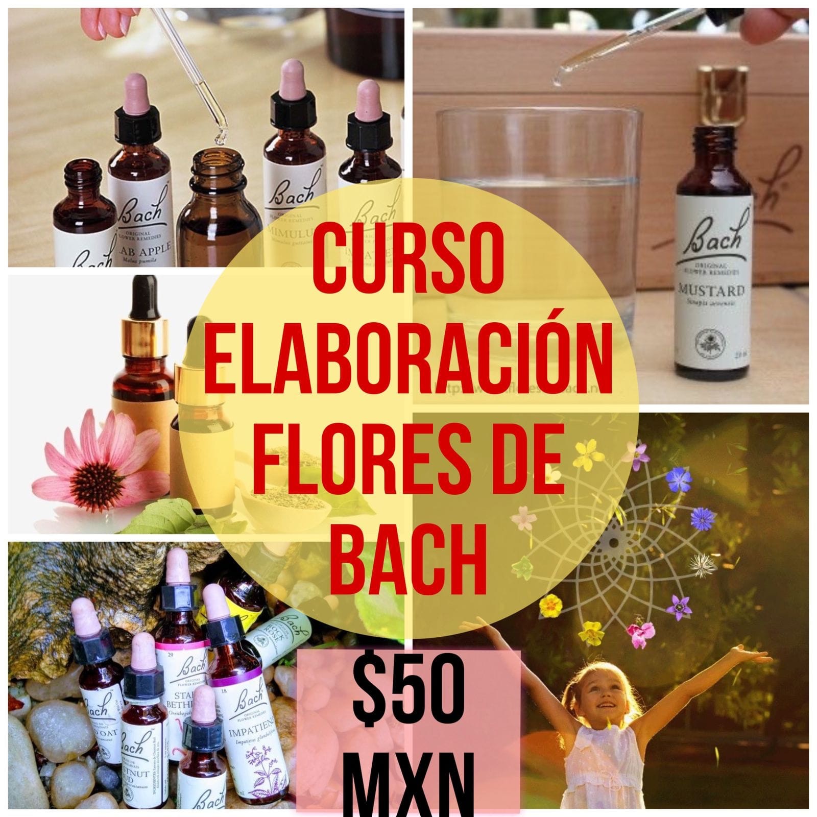 Cursos Digitales LM Facebook ad: Obtén tu curso
