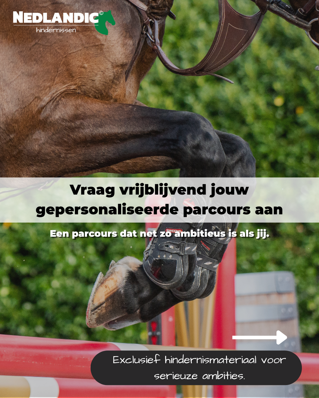 Nedlandic Quality Horse Supplies Facebook ad