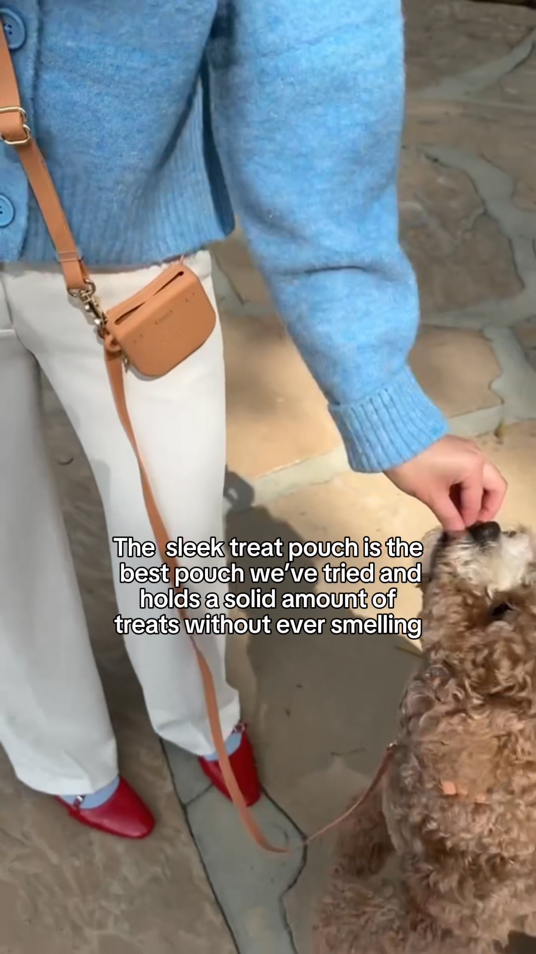 Shop Sunny Tails Facebook ad from Apr 11, 2026