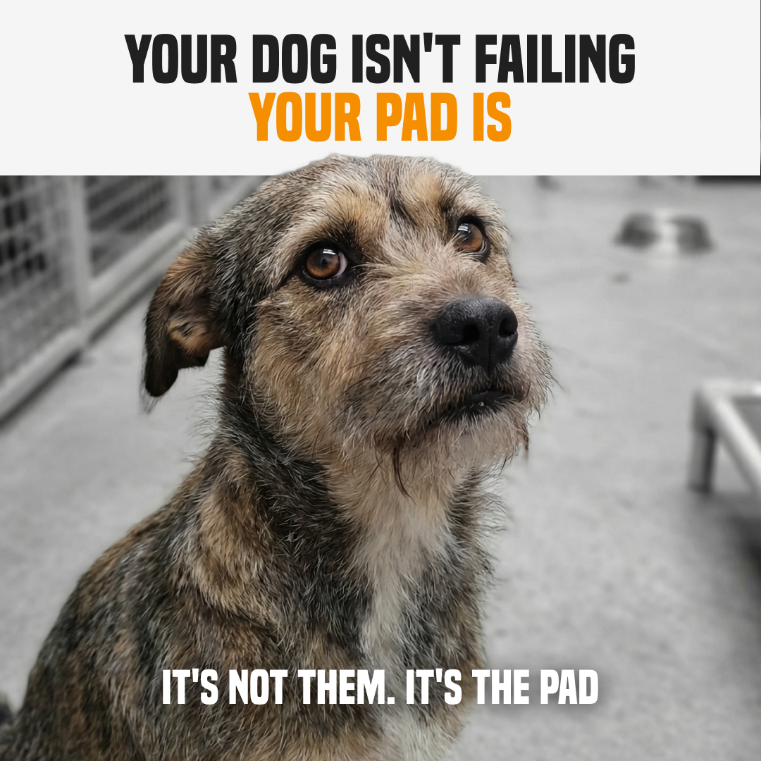 PuppyPad Facebook ad