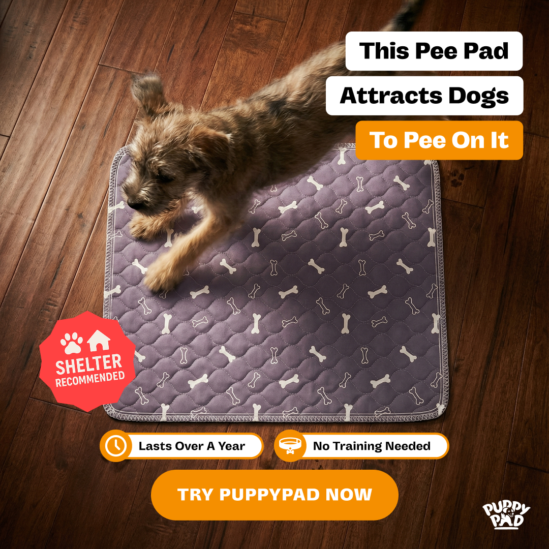 PuppyPad Facebook ad