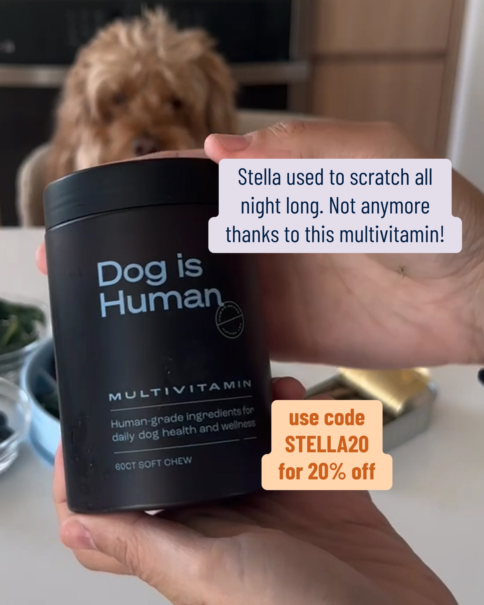 Dog is Human Facebook ad