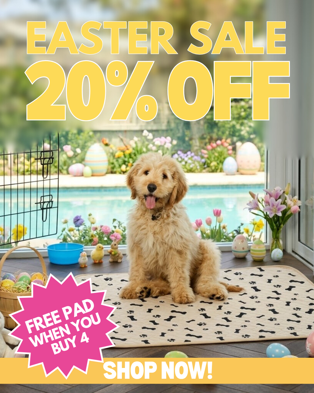 Potty Buddy Facebook ad