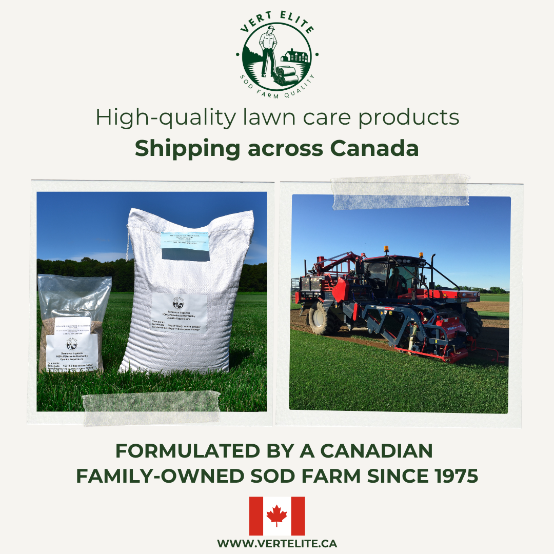 Vert Elite Canada Facebook ad