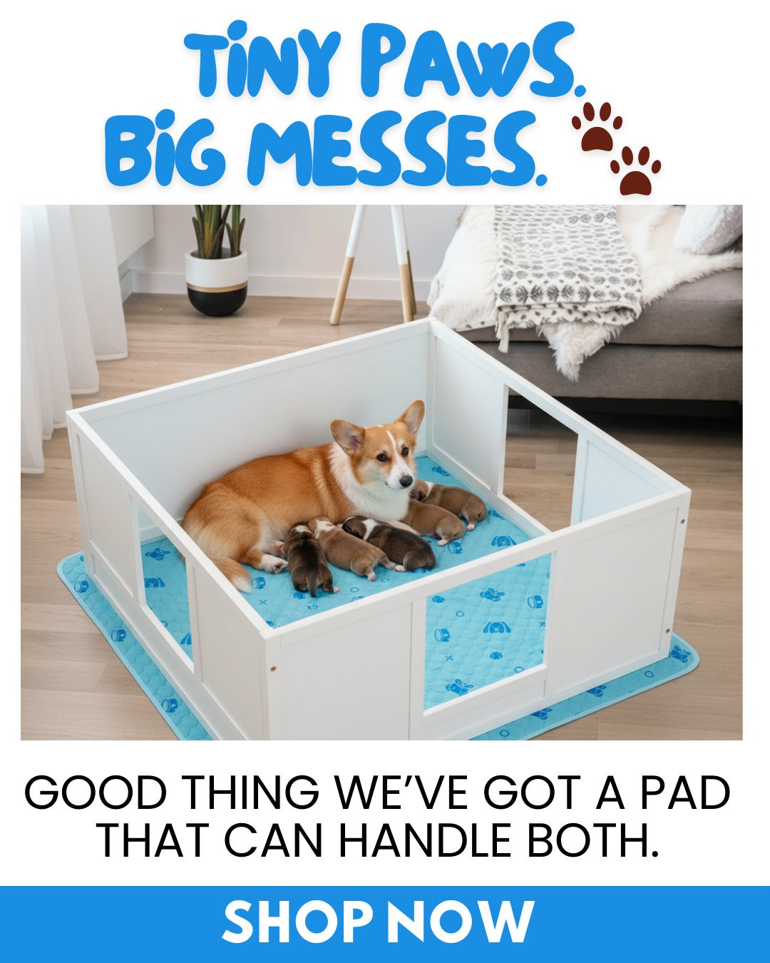 Potty Buddy Facebook ad