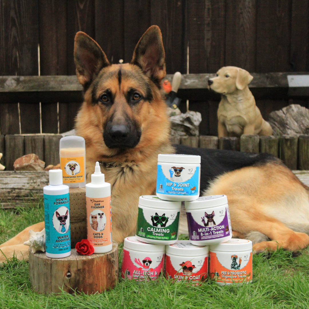 Nutri Paw Facebook ad
