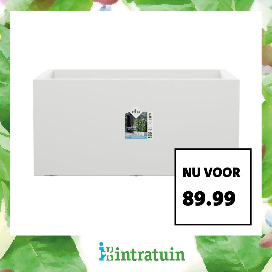 Intratuin Facebook ad