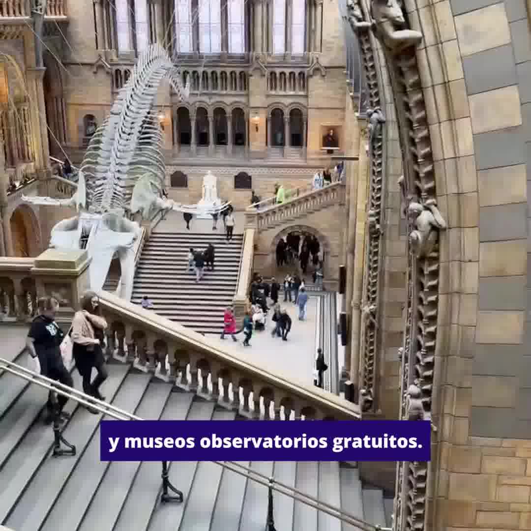 Kaplan International Languages - Latinoamérica Facebook ad from Feb 2, 2026