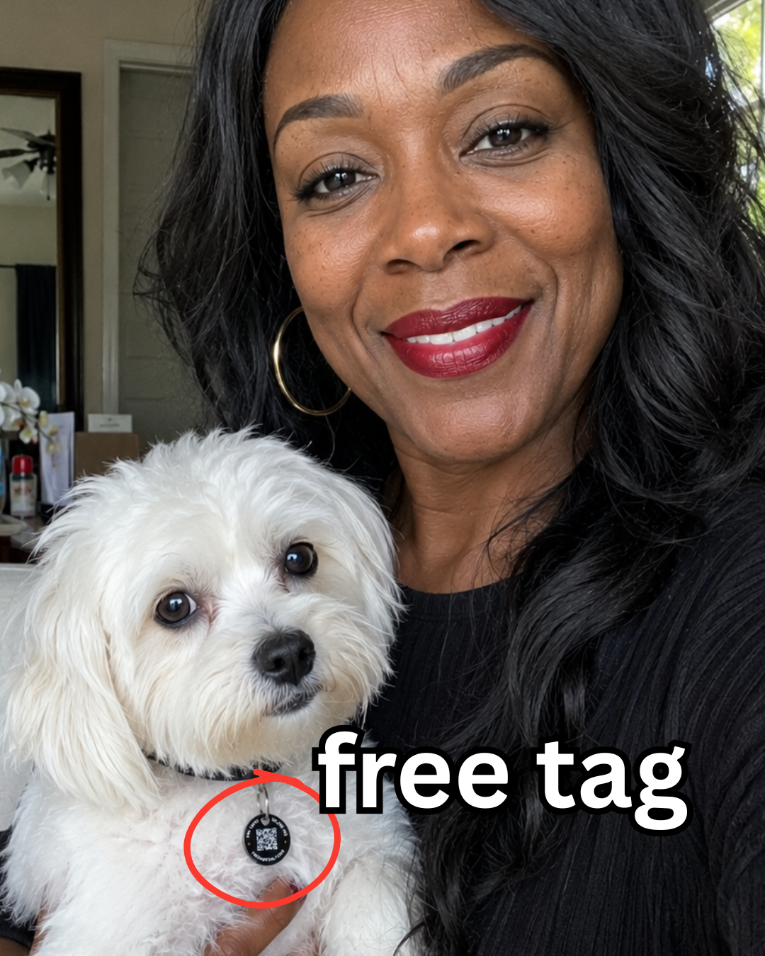 Pet Lifehacks Facebook ad