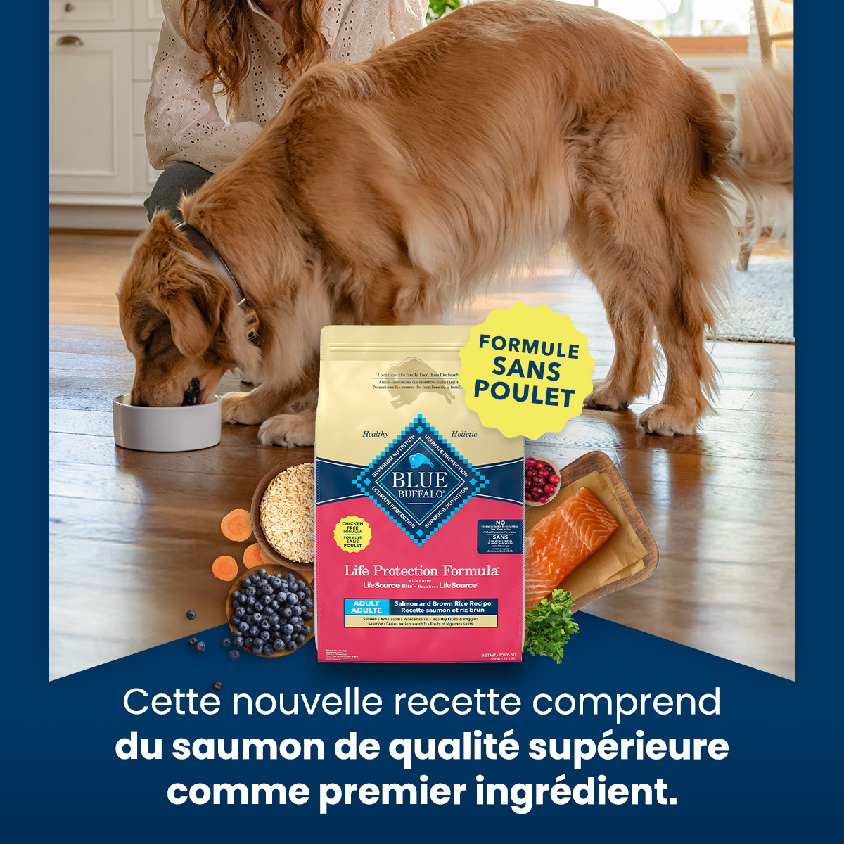 Blue Buffalo Facebook ad: NOUVELLE recette au saumon