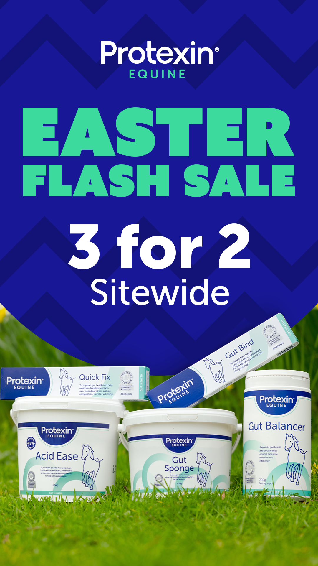 Protexin Equine Facebook ad