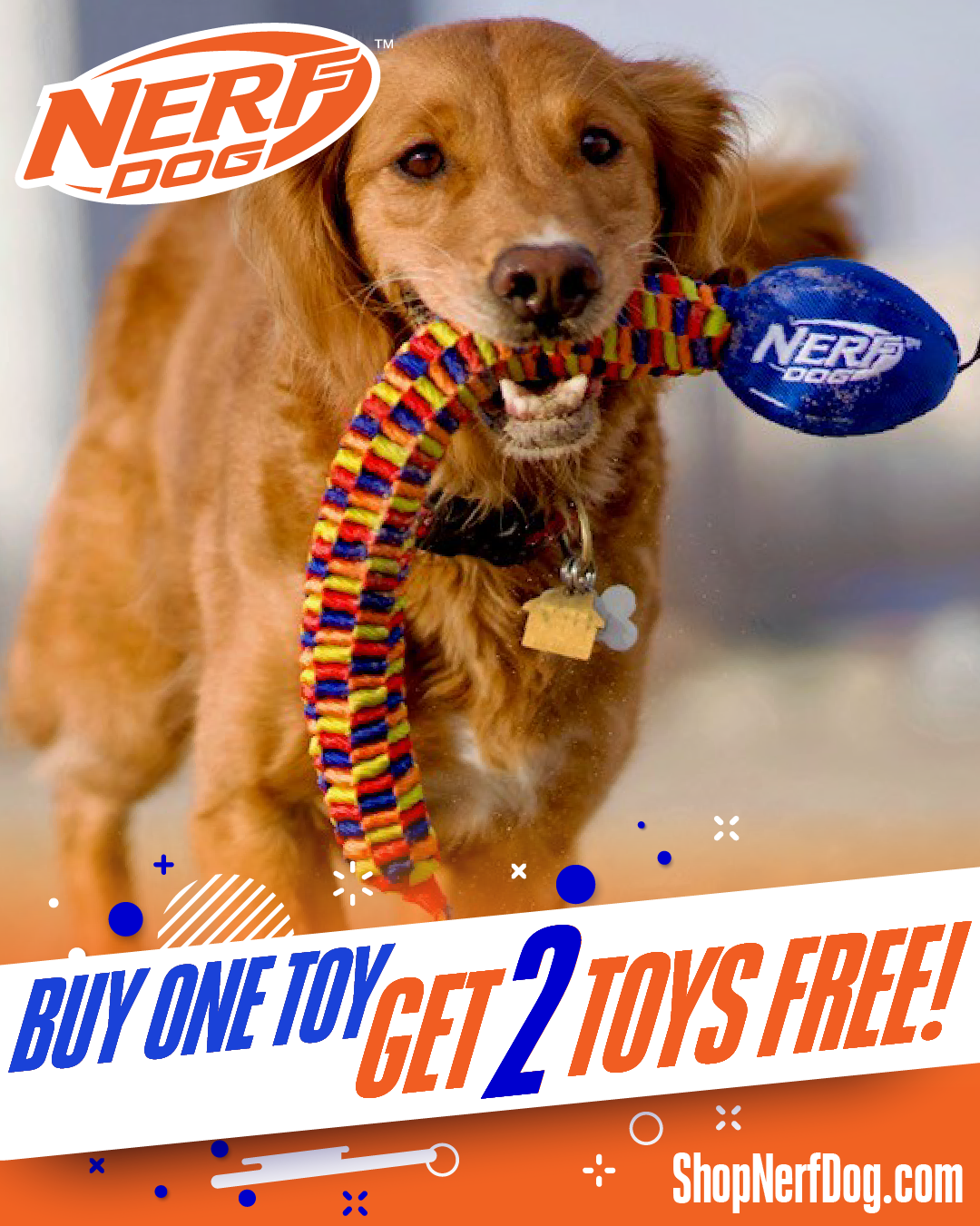 Nerf Dog Facebook ad: Buy 1 Toy, Get 2 Toys FREE